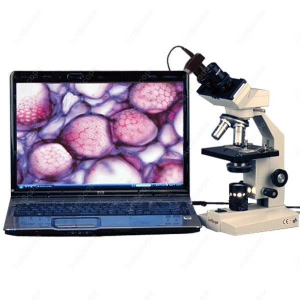 Amscope Microscope Compound 40X-1000X - Биологический бинокулярный комбинированный микроскоп AmScope серии