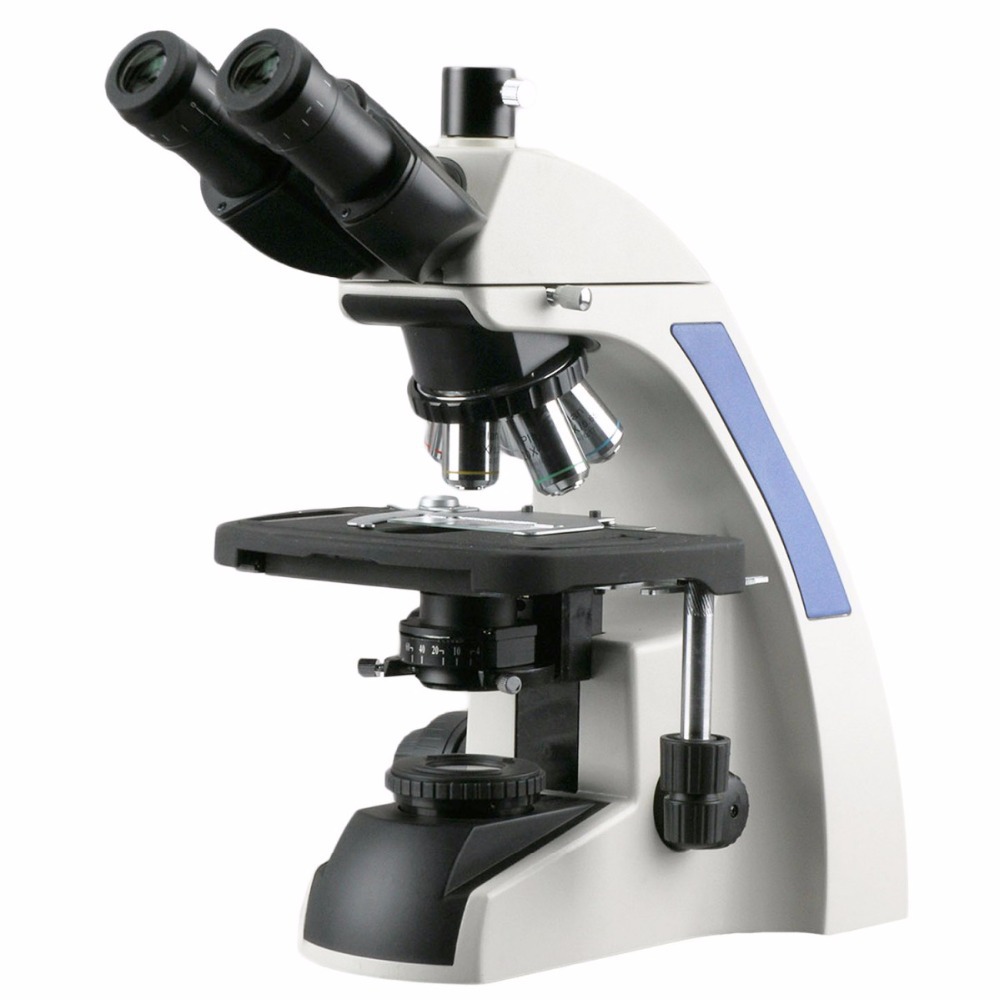 Тринокулярный компаундный микр – обзор и цена Amscope Microscope Compound 40X-1000X