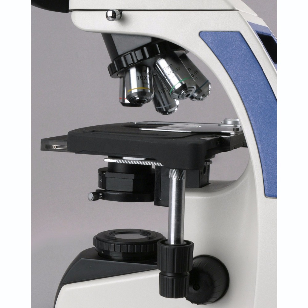 Тринокулярный компаундный микр – обзор и цена Amscope Microscope Compound 40X-1000X