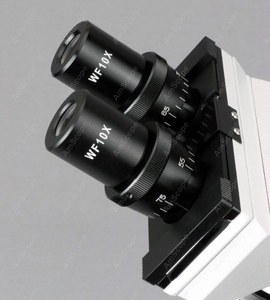 Биологический бинокулярный ком – обзор и цена Amscope Microscope Compound 40X-1000X